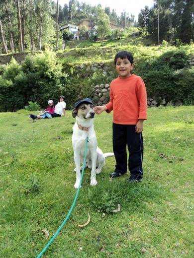 De paseo con la familia